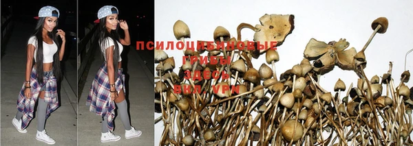 гидра Балабаново